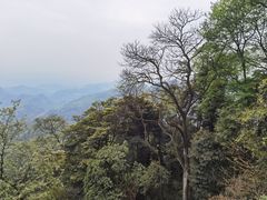 -青城山