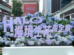 -HALO广场(梨园路店)