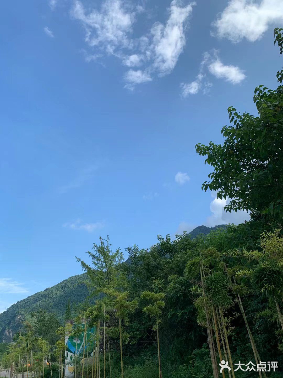 512大地震后的小鱼洞