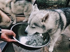 -TrueLove @ Neverland (Husky Cafe)