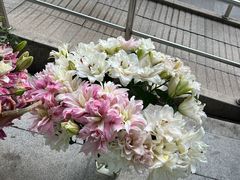 -百盛·鼎膳(中海财富中心)