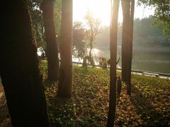 -南国桃园旅游度假区