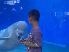 -泉城欧乐堡海洋极地世界