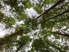 -南京金牛湖风景区