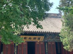 -洛阳白马寺