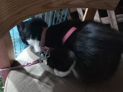 -艾加柒克蛋糕茶歇甜品台(春熙路店)