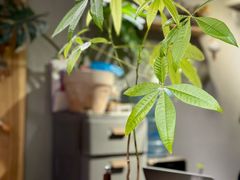 -如果·追梦手工皮具DIY教学店(田子坊店)