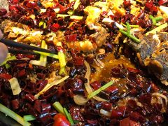 -老板恋上鱼(恒隆广场店)