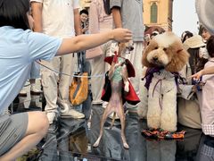 -华谊兄弟（长沙）电影小镇