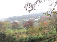 -塔川景区