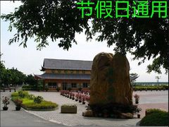 -大湾区中央湿地公园
