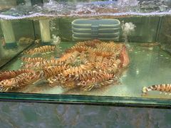 -聚鲜阁海鲜美食城(香水湾店)