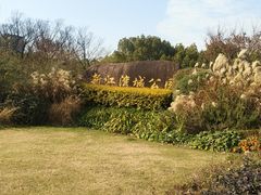 -新江湾城公园