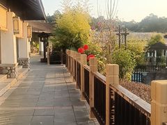 -河源万绿湖美思威尔顿酒店