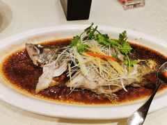 -红杏酒家(凤凰店)