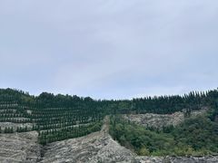 -欧记轩龙虾·私房菜(A店)