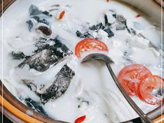 -全乐鱼馆·淳牌有机鱼直营店