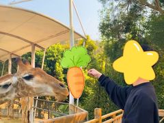 -泉州海丝野生动物世界