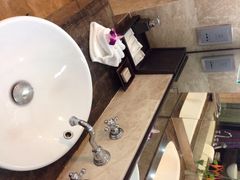 曼谷安娜塔拉河畔水疗度假村-阿瓦尼河滨曼谷酒店