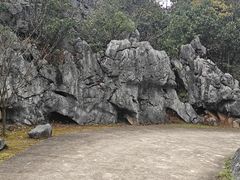 -千岛湖石林