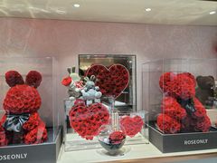 -ROSEONLY诺誓(磐基中心店)