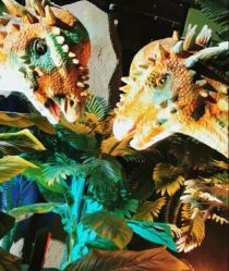 -恐龙探索乐园(磁器口店)