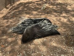 -鄂尔多斯野生动物园