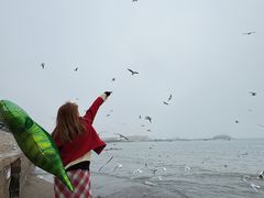-青岛海滨风景区