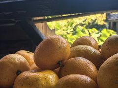 -军山湖云水间水上餐厅(进贤店)