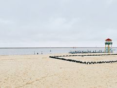 -碧海金沙