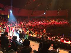 -珠海横琴长隆《卡卡虎奇遇记》