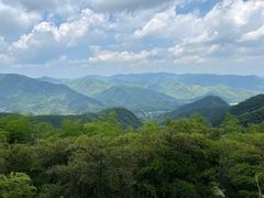 -莫干山风景区