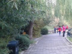 -紫竹院公园冰场