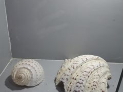 -水濂山乐民游艺园