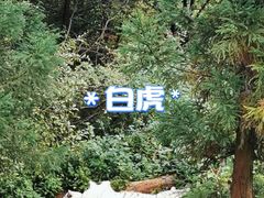 -云南野生动物园