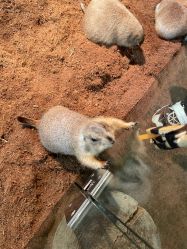 -Zoolung Zoolung动物主题公园(海信广场店)