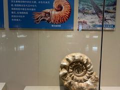 -安徽省地质博物馆