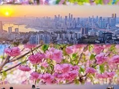 -南山植物园