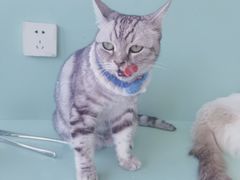 -怪兽屋·羊驼·猫咖·狗咖(俊华广场店)