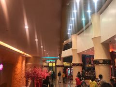 -珠海横琴长隆《卡卡虎奇遇记》