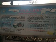 -金雁飞鸣双语幼儿园