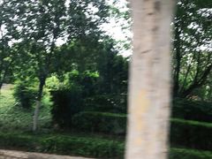 -陈三娃泡姜鸡(太白北路店)