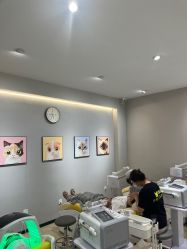 -洗脸猫·洗脸吧