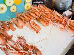 -济南凯宾斯基酒店-THE VIEW云景全日制餐厅