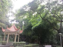 -三水森林公园