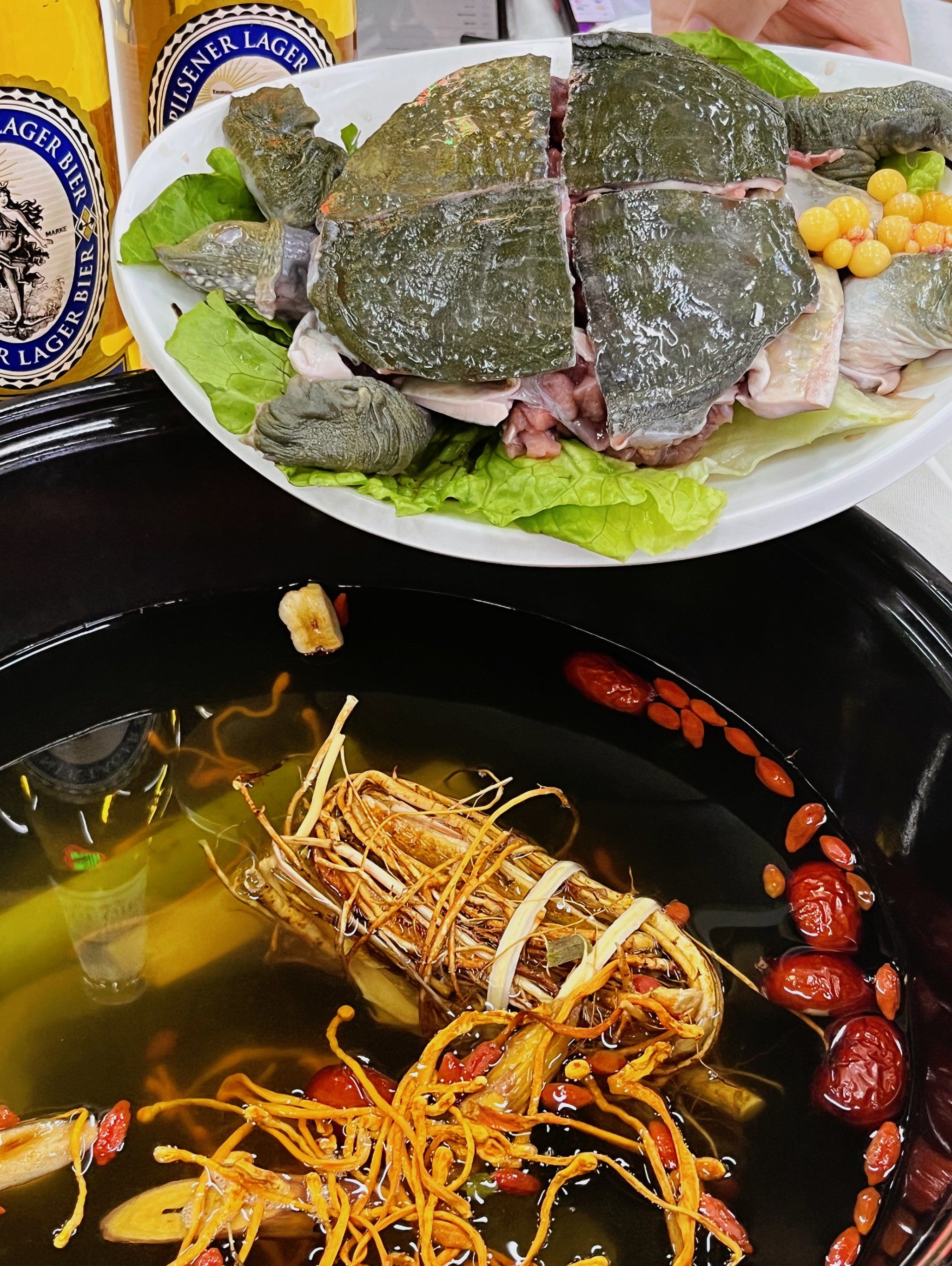 好正啊6015这甲鱼煲和太太太太好吃了吧