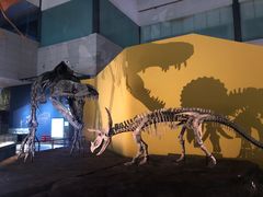 -湖南省地质博物馆