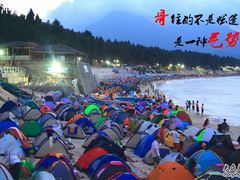 -西涌国际滨海旅游区