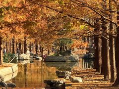 -白水寺森林公园