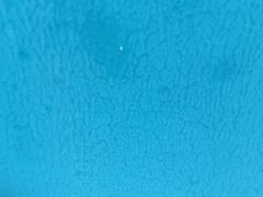 -猪腰一家·地道佛山菜(盐步店)